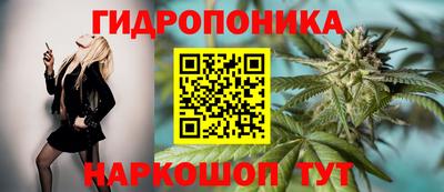 СК Мариинск