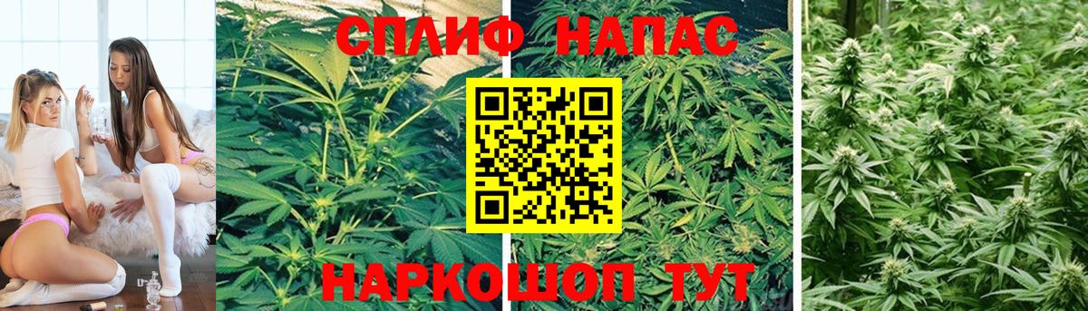 Конопля Ganja Урюпинск